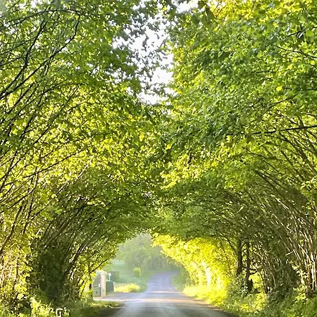 فندق مبيت وإفطار D Hotes Le 23