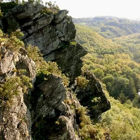 D Hotes Le 23 Bed & Breakfast Segrie-Fontaine