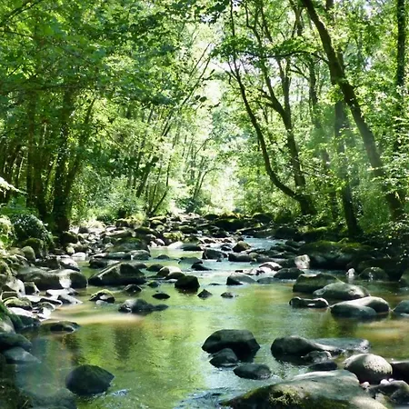 فندق مبيت وإفطار D Hotes Le 23 3*