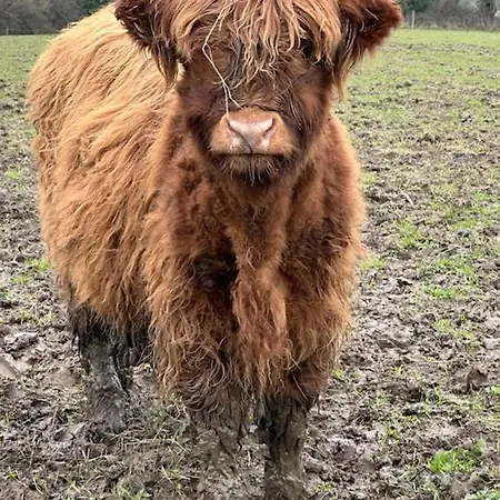 D Hotes Le 23 3* Segrie-Fontaine