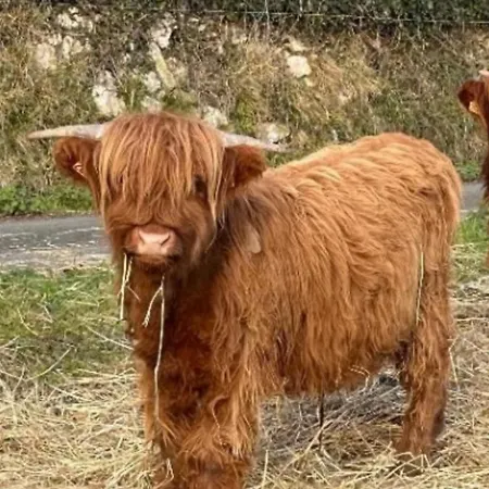 فندق مبيت وإفطار D Hotes Le 23 3*