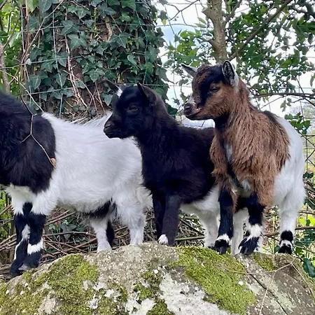 فندق مبيت وإفطار D Hotes Le 23