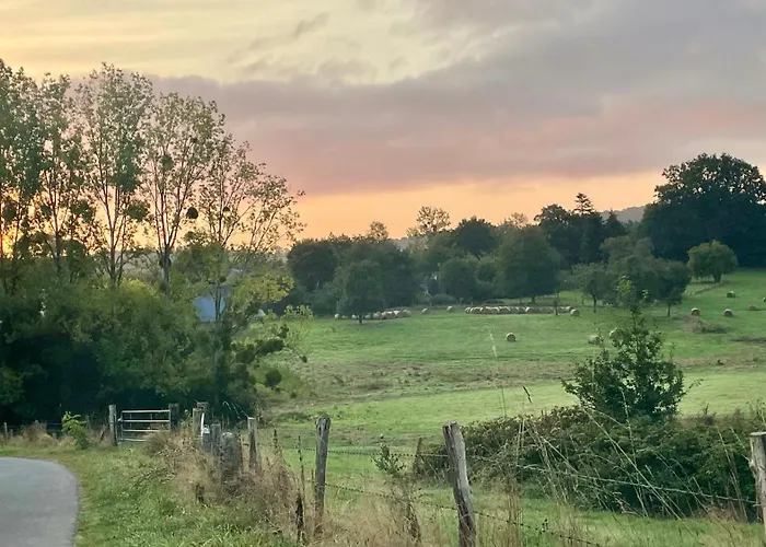 D Hotes Le 23 住宿加早餐酒店 Segrie-Fontaine