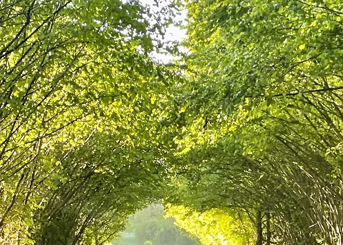 住宿加早餐酒店 D Hotes Le 23