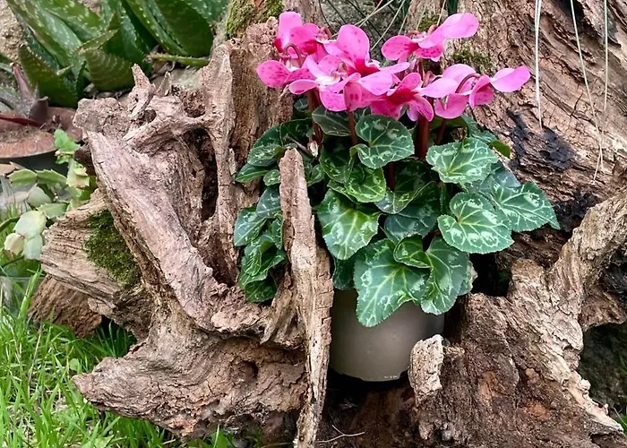 D Hotes Le 23 Segrie-Fontaine