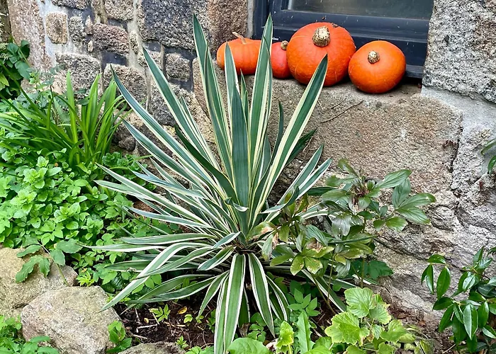 D Hotes Le 23 住宿加早餐酒店