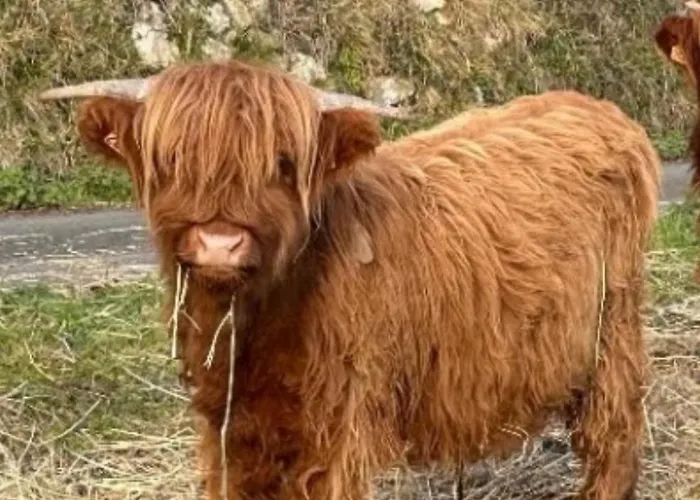 住宿加早餐酒店 D Hotes Le 23 3*