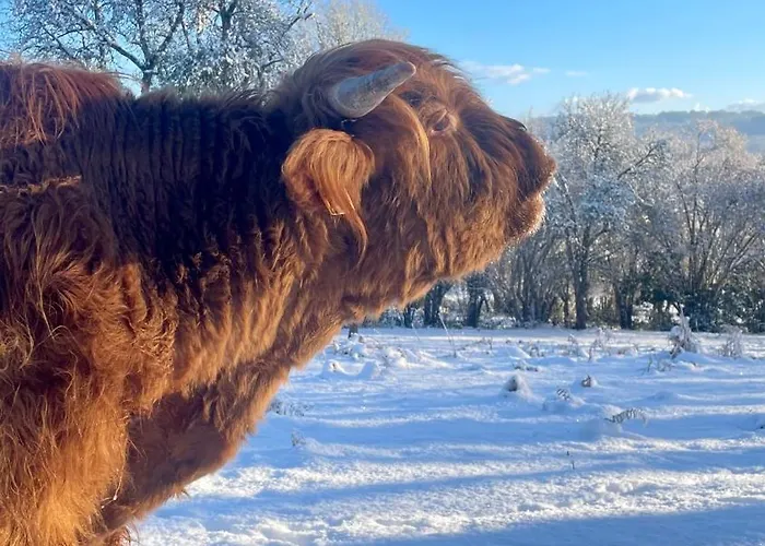 D Hotes Le 23 住宿加早餐酒店 3*